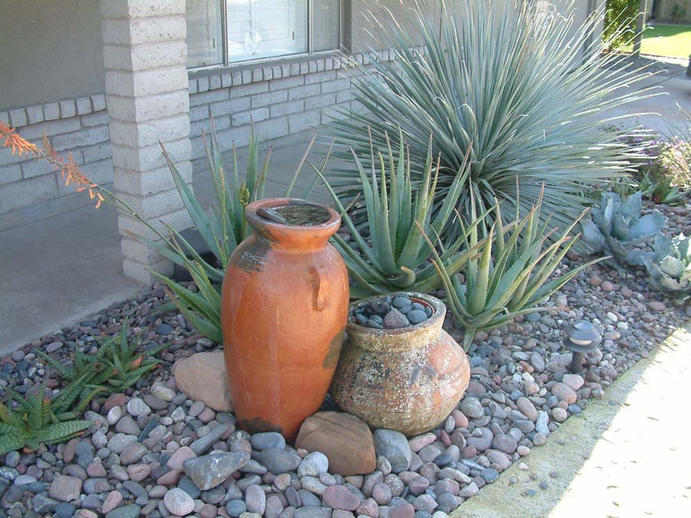 Water for Hummingbirds