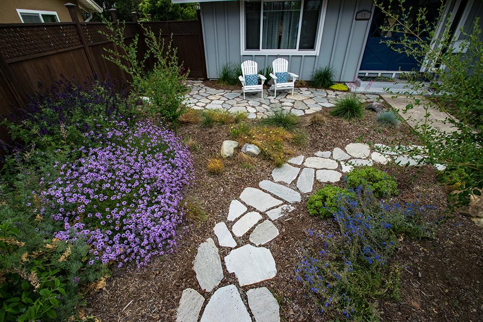 Pathway Through Garden