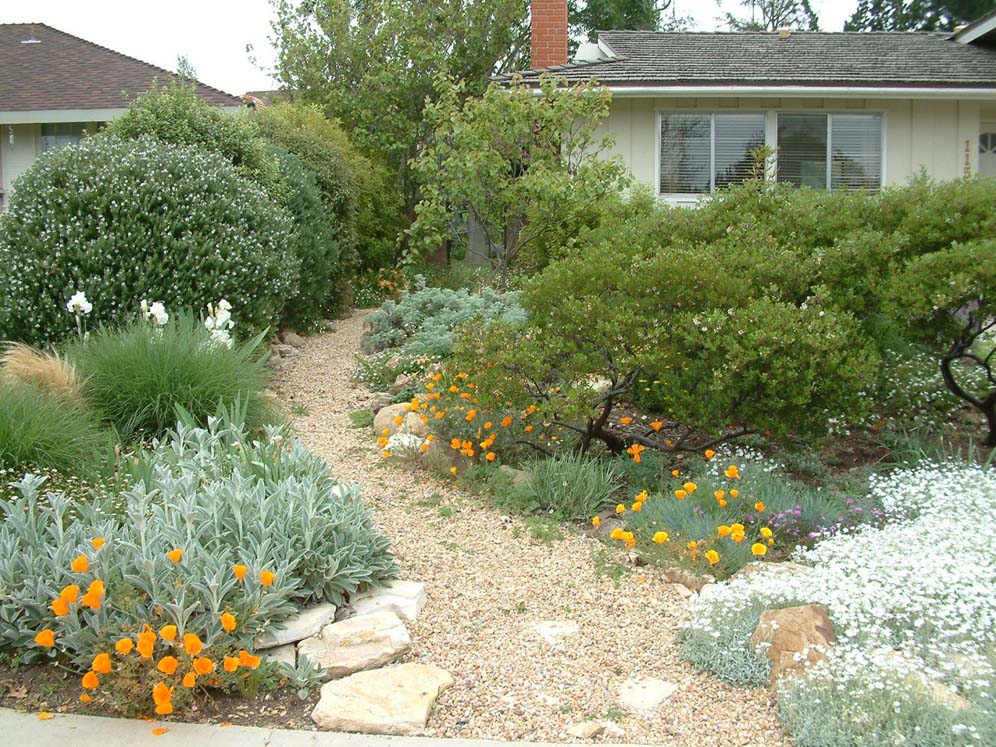 A Path Through Garden Joy